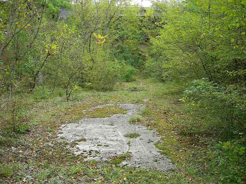 Il bosco alluvionale di Rixheim  (FRA)